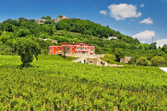 tenuta-ippocrate-05
